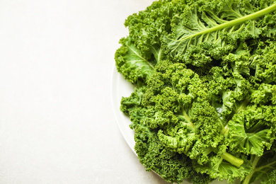 Fresh kale leaves on light grey table, closeup. Space for text