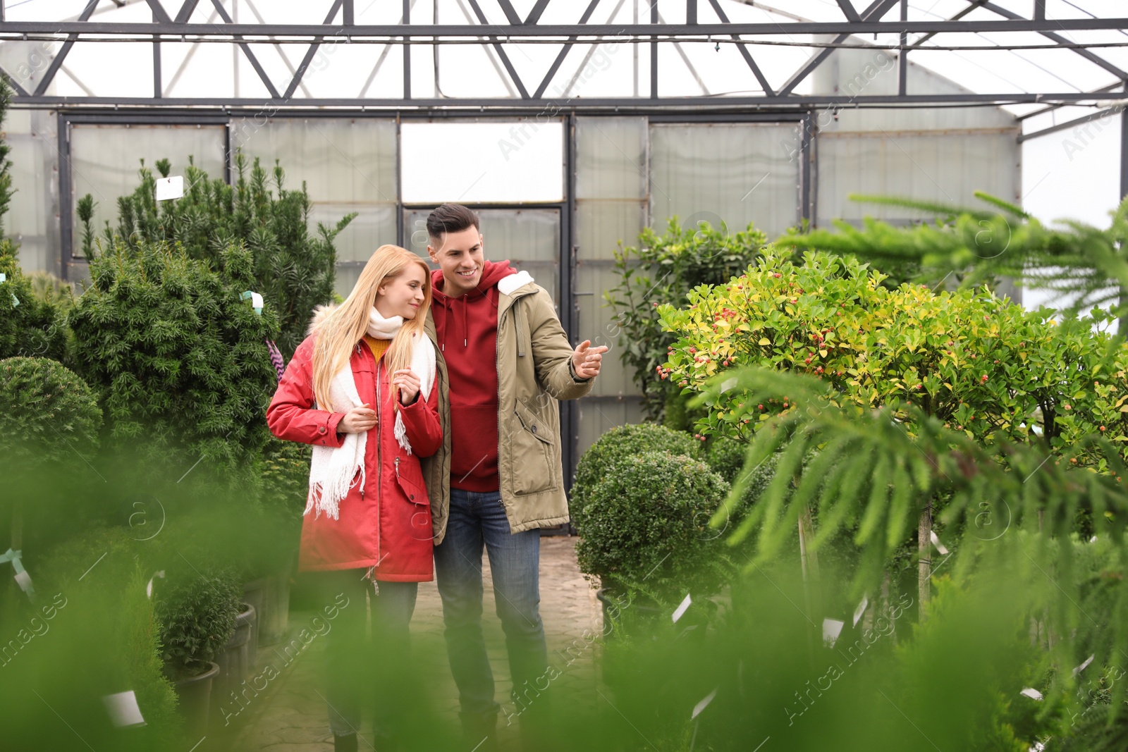 Photo of Couple choosing Christmas tree at market outdoors