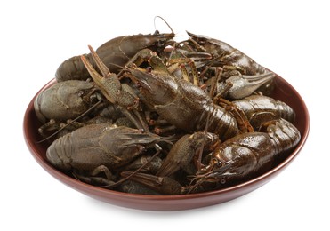 Fresh raw crayfishes in bowl on white background