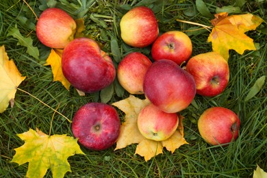 Photo of Delicious ripe red apples and maple leaves on green grass outdoors, flat lay. Autumn harvest