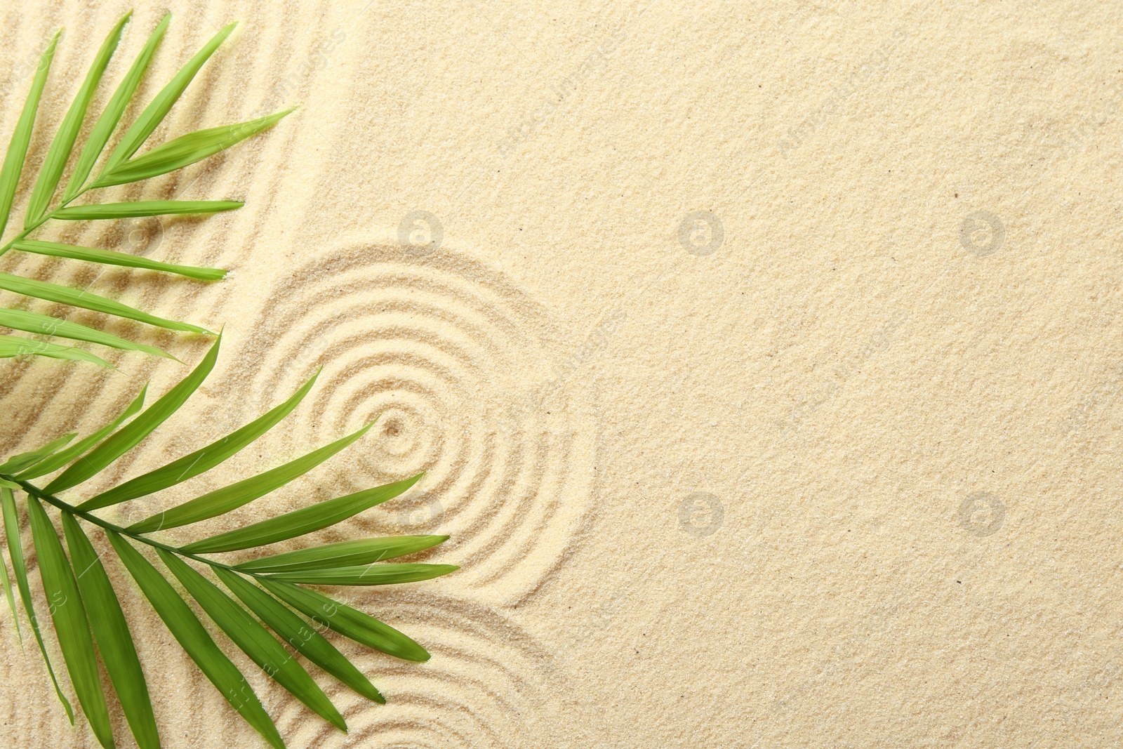 Photo of Zen rock garden. Circle patterns and green leaves on beige sand, top view