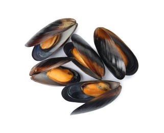 Delicious cooked mussels in shells on white background, top view