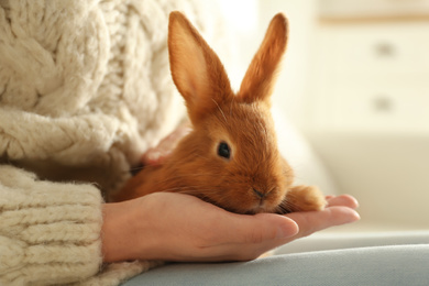 Photo of Young woman with adorable rabbit indoors, closeup. Lovely pet