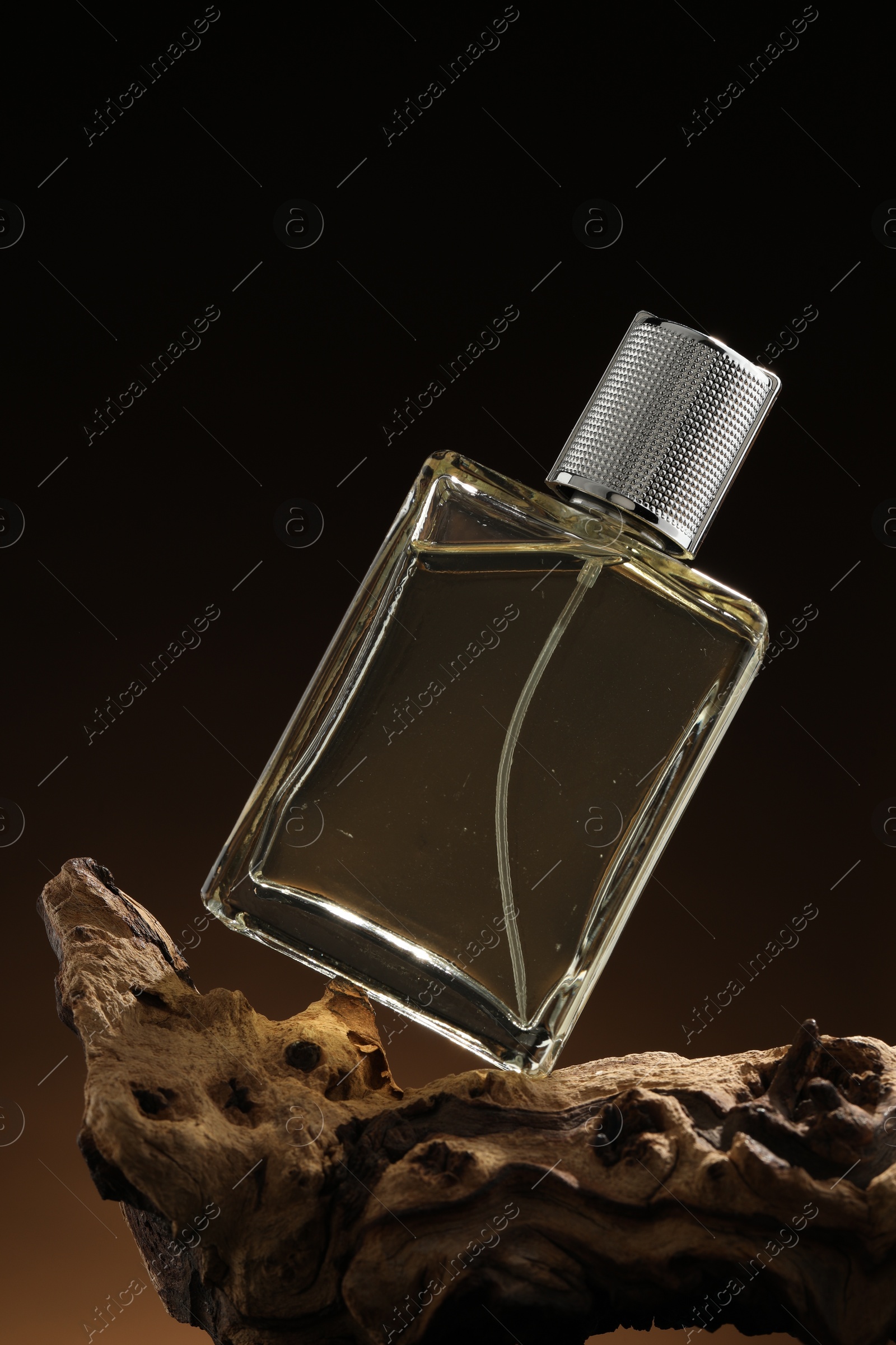 Photo of Luxury men`s perfume in bottle against dark background