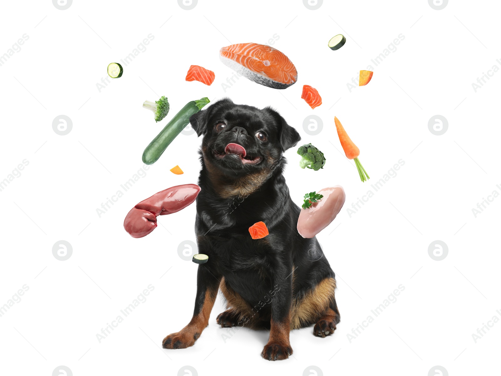 Image of Cute dog surrounded by fresh products rich in vitamins on white background. Healthy diet for pet