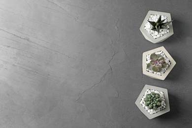 Photo of Beautiful succulent plants in stylish flowerpots on grey background, flat lay with space for text. Home decor