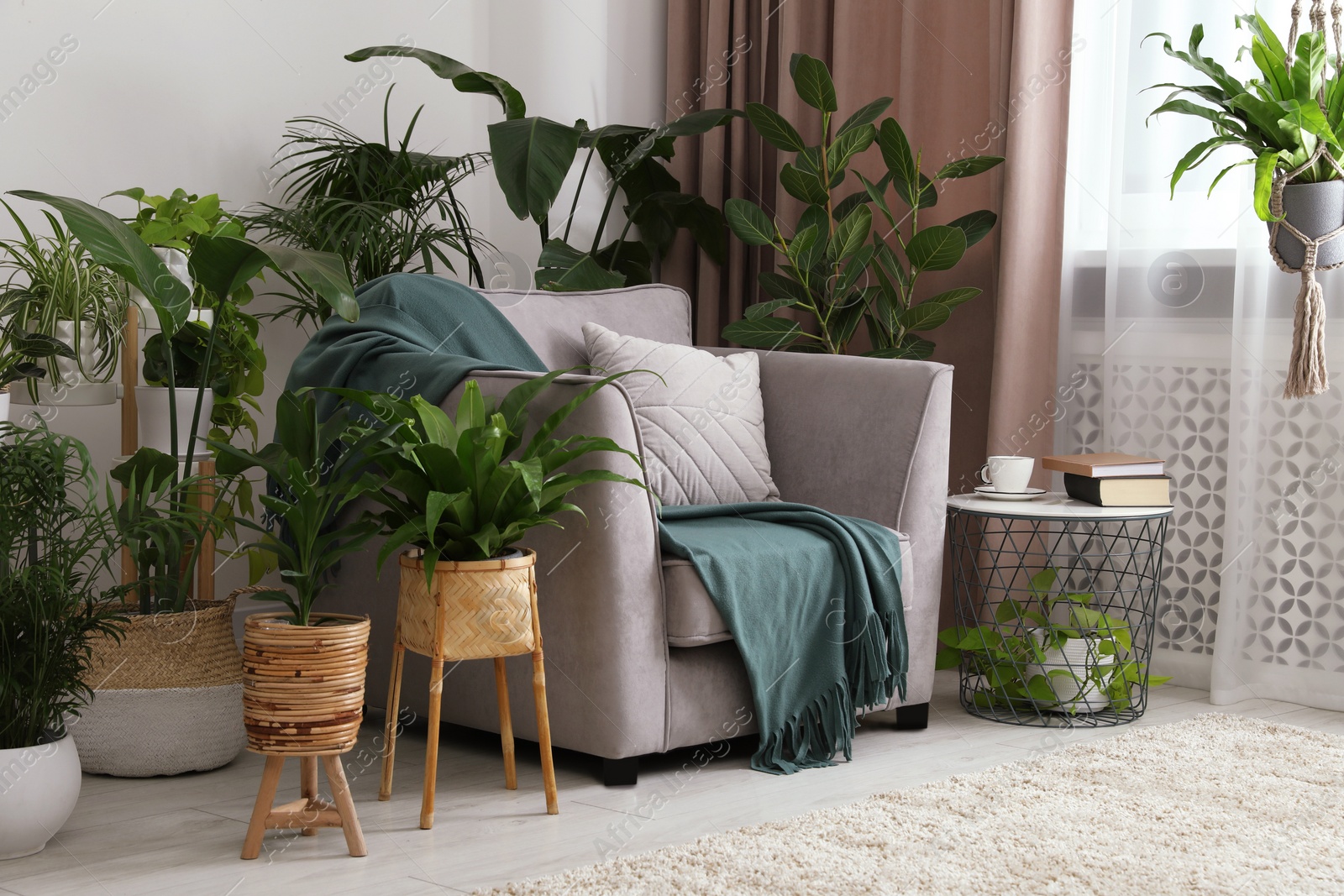 Photo of Stylish room with comfortable armchair and beautiful houseplants. Interior design