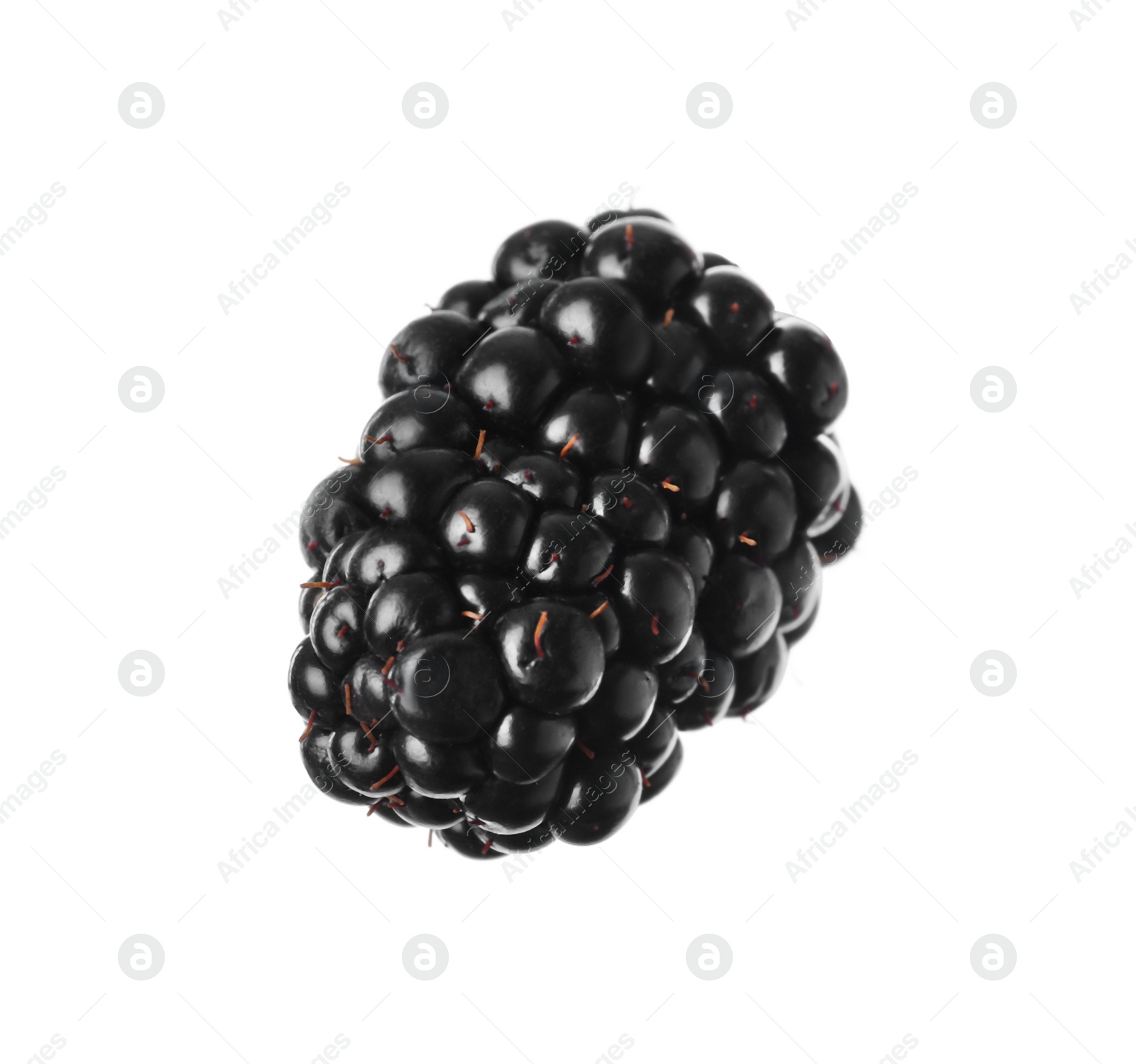 Photo of Delicious fresh ripe blackberry isolated on white