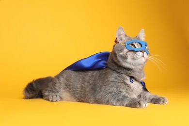 Photo of Adorable cat in blue superhero cape and mask on yellow background