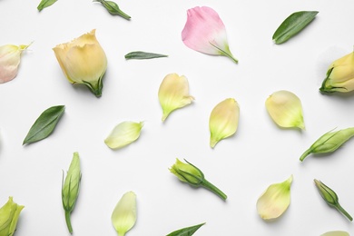 Photo of Flat lay composition with beautiful Eustoma flowers on light background