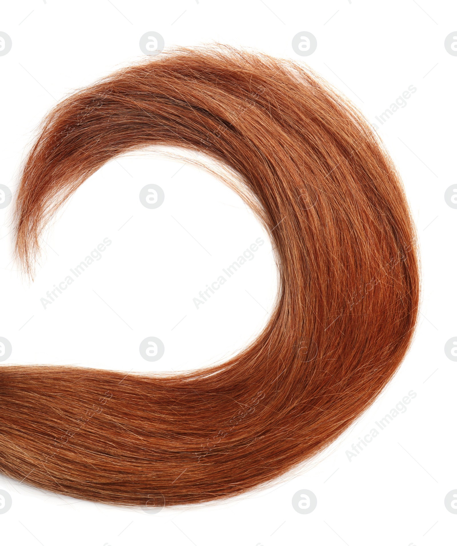 Photo of Lock of healthy brown hair on white background