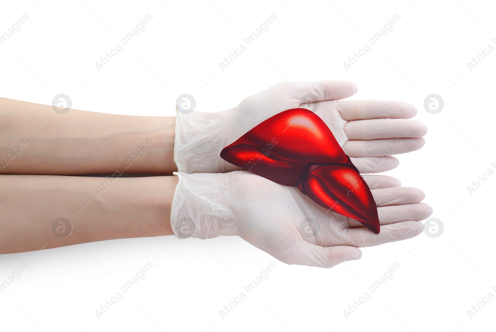 Photo of Doctor in gloves holding paper liver on white background, closeup and top view. Hepatitis treatment