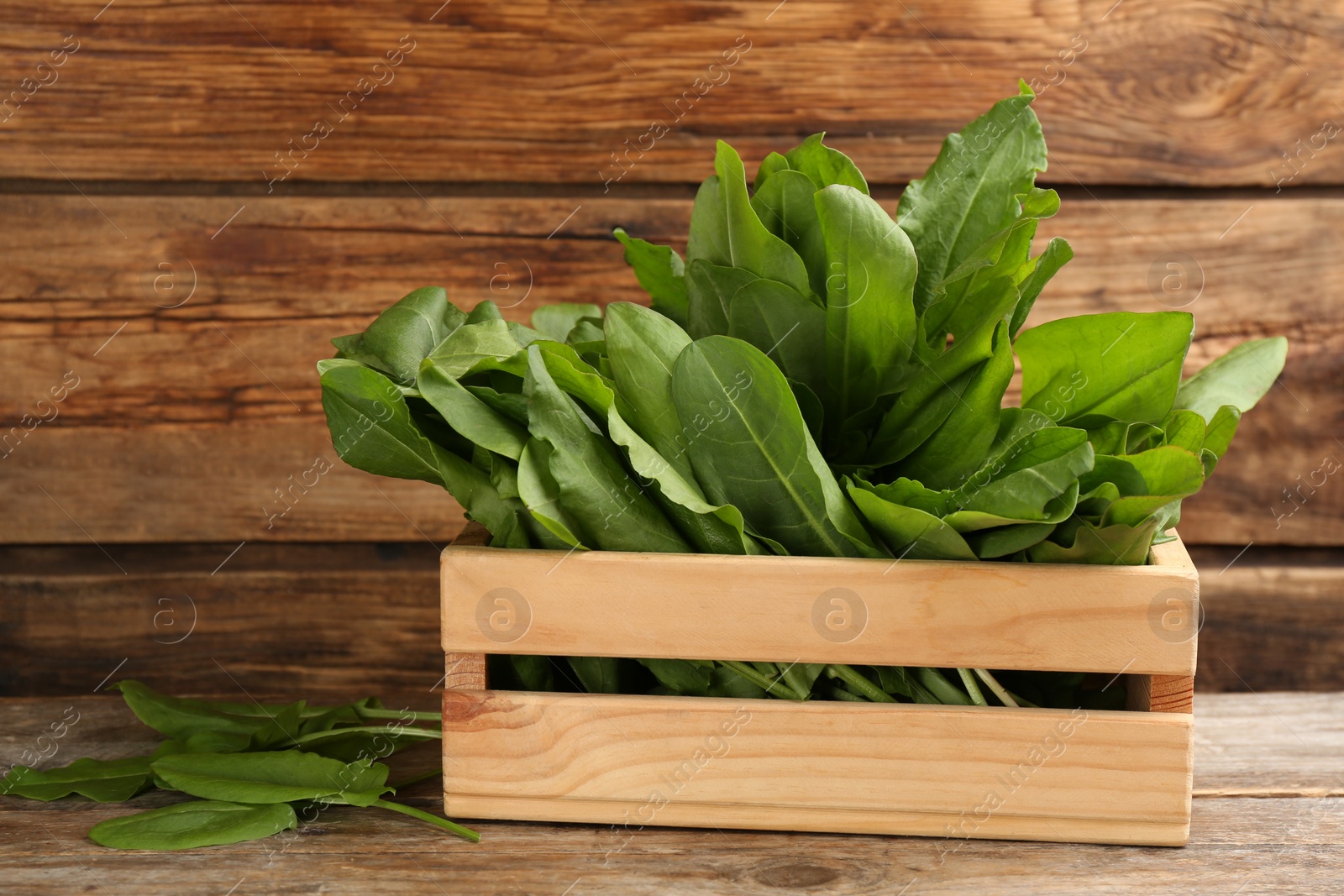 Photo of Fresh green sorrel leaves in crate on wooden table