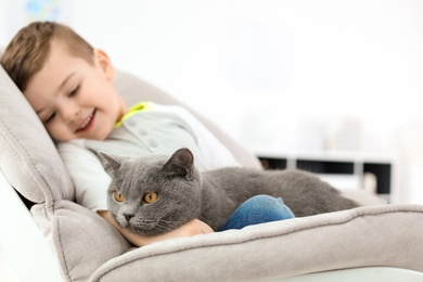 Cute cat with little child at home
