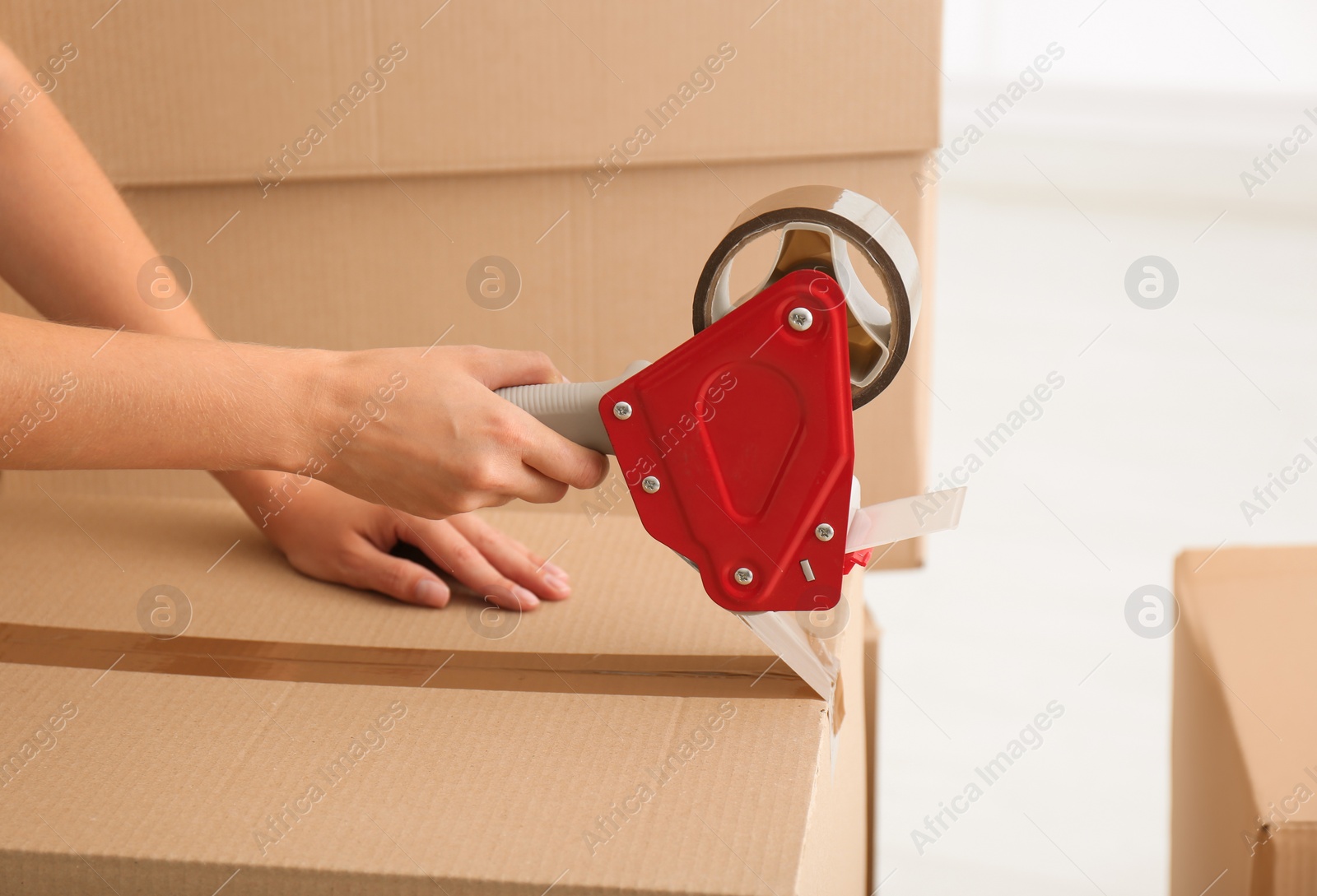 Photo of Woman packing carton box indoors, closeup. Moving day