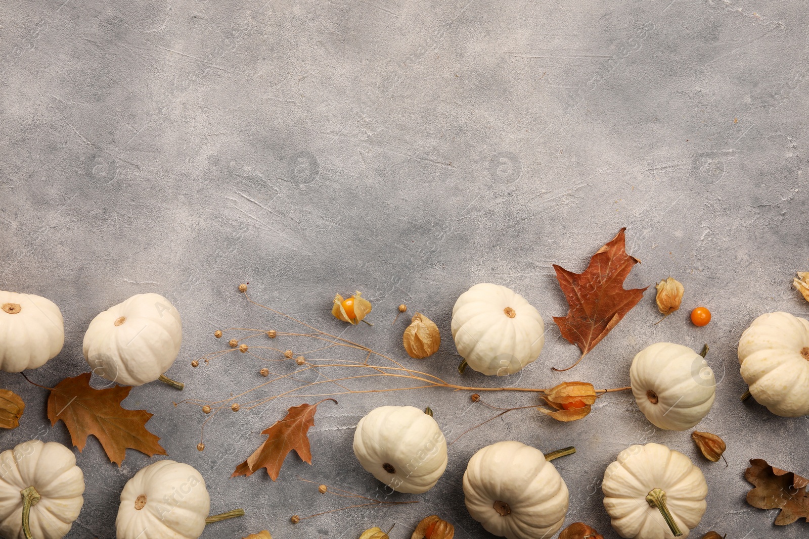 Photo of Flat lay composition with different fresh ripe pumpkins on light grey table, space for text