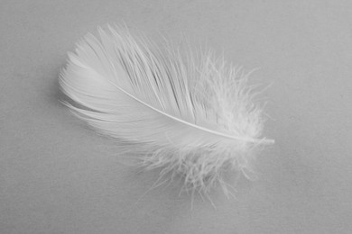 Photo of Fluffy white feather on light grey background, top view