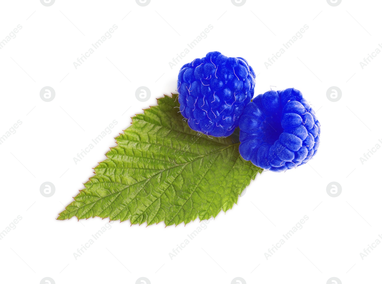 Image of Fresh tasty blue raspberries isolated on white