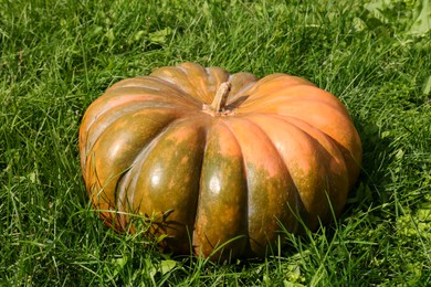 Photo of Ripe pumpkin on green grass. Autumn harvest