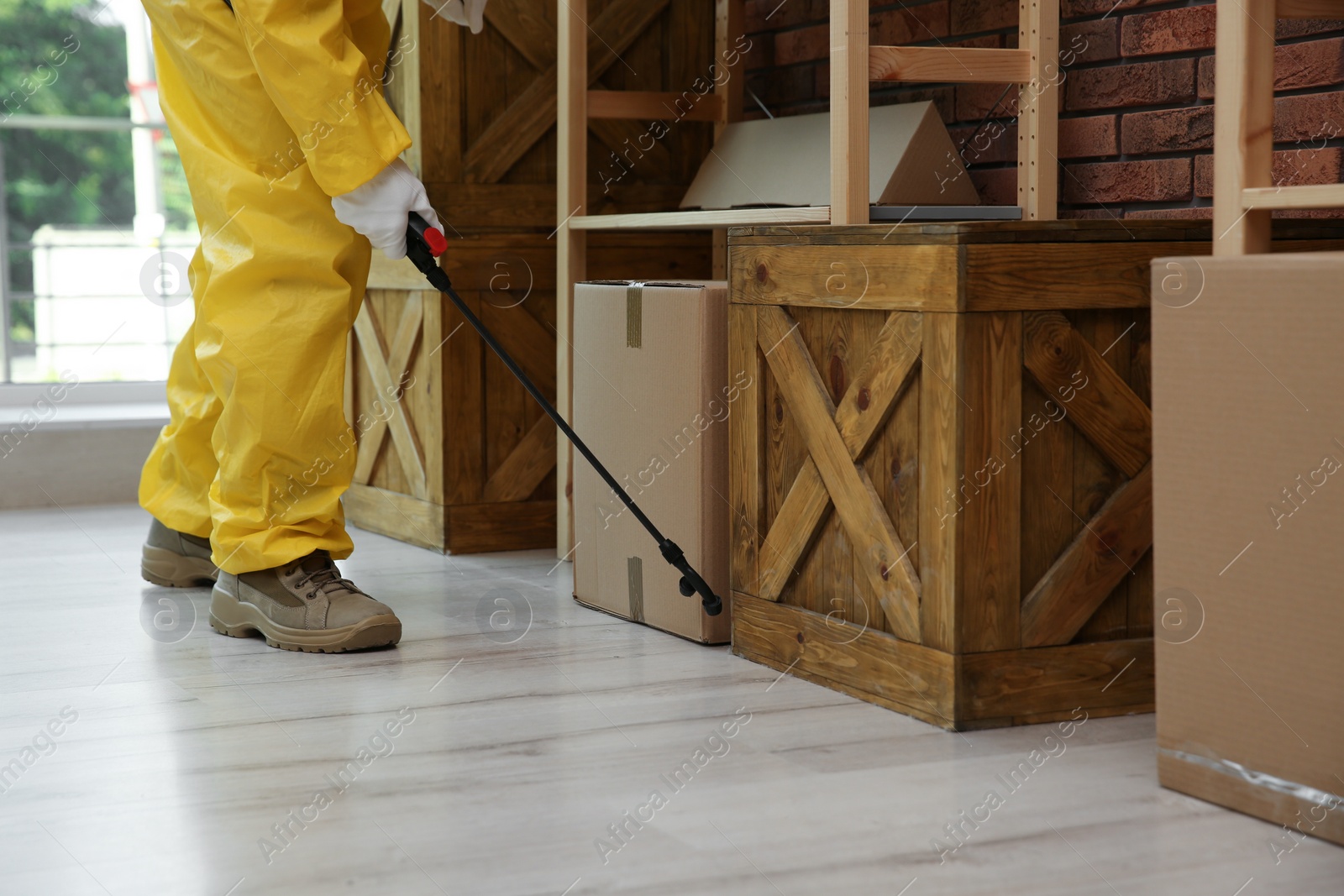 Photo of Pest control worker spraying pesticide indoors, closeup