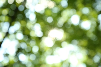 Blurred view of green trees outdoors. Bokeh effect