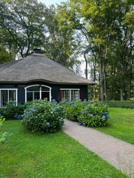 Photo of Beautiful cottage and blooming hortensia shrubs outdoors