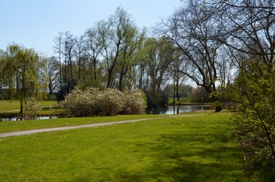 Photo of Beautiful park with pond on sunny day. Picturesque spring landscape