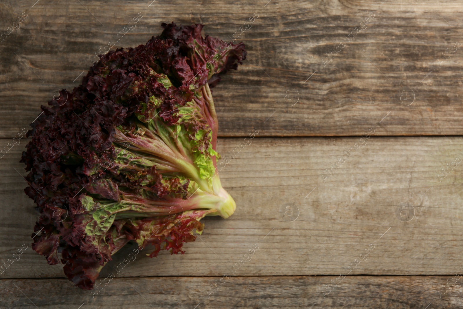 Photo of Fresh red coral lettuce on wooden table, top view. Space for text