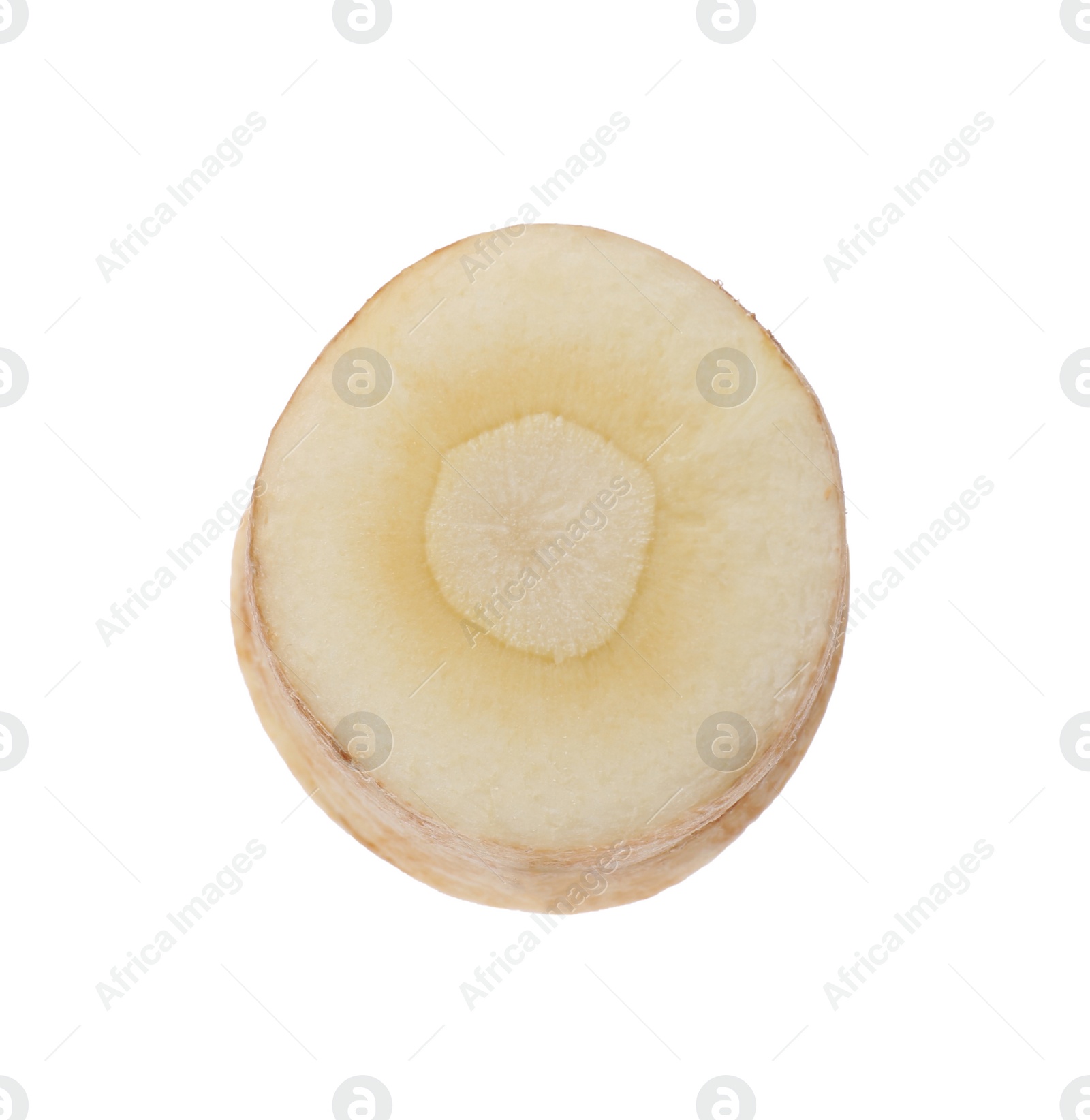 Photo of Piece of fresh parsnip isolated on white