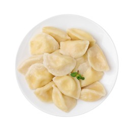 Photo of Plate of delicious dumplings (varenyky) with cottage cheese isolated on white, top view