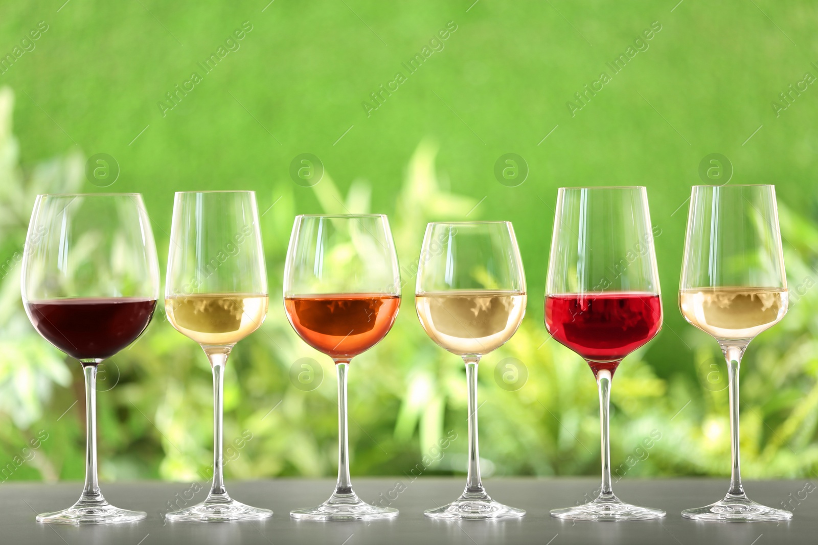 Photo of Row of glasses with different wines on grey table against blurred background