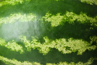 Whole ripe watermelon as background, closeup view