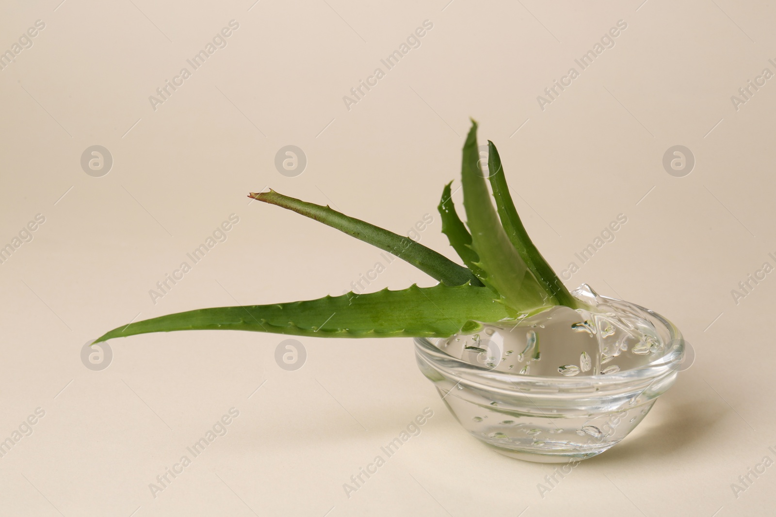 Photo of Bowl with natural gel and fresh aloe on beige background, closeup