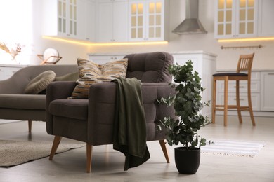 Photo of Stylish room interior with comfortable armchair and green eucalyptus tree