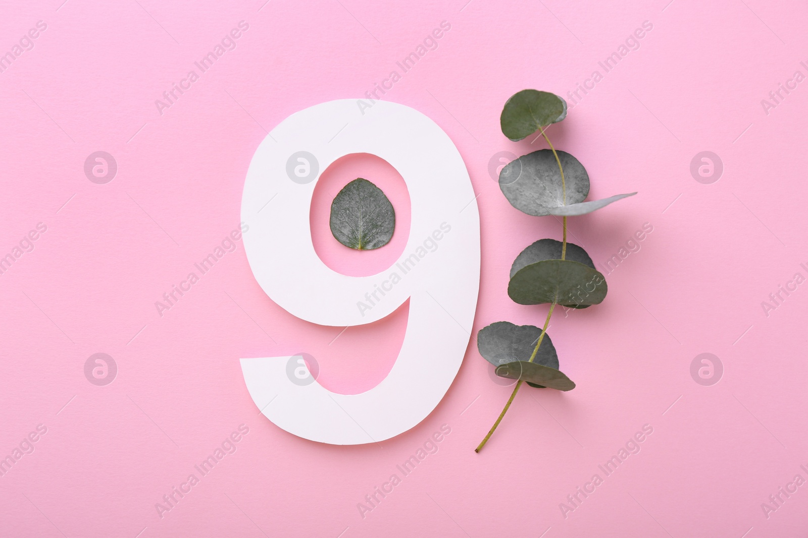 Photo of Paper number 9 and eucalyptus leaves on pink background, flat lay