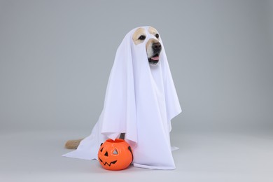 Photo of Cute Labrador Retriever dog wearing ghost costume with Halloween bucket on light grey background