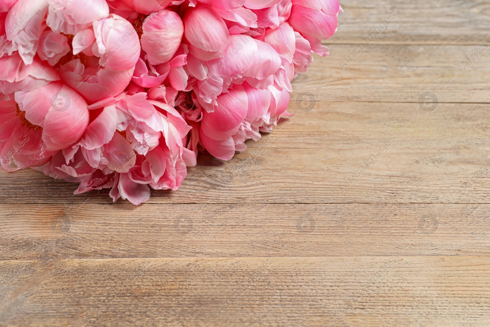 Photo of Beautiful pink peonies on wooden table, closeup. Space for text