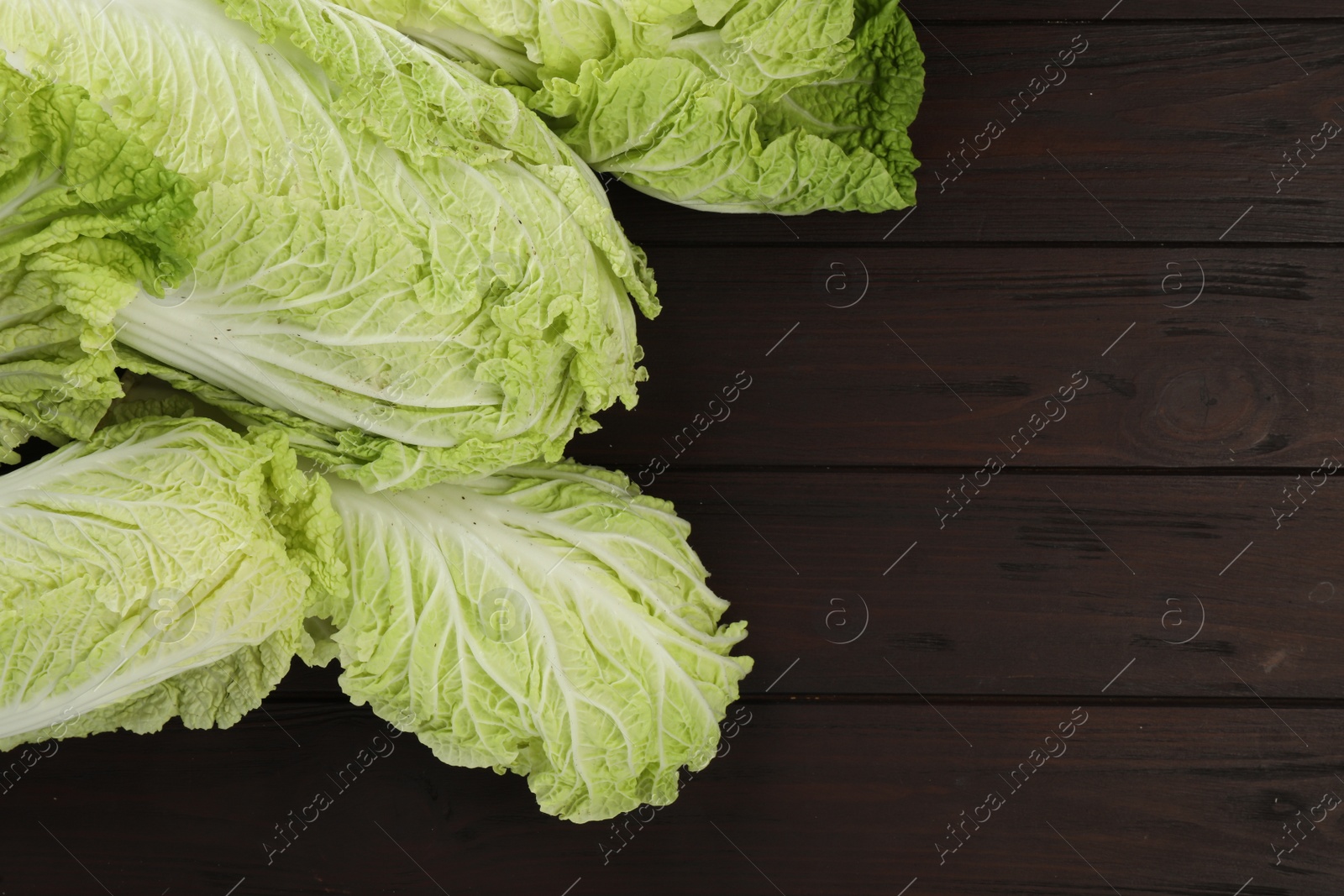 Photo of Fresh ripe Chinese cabbages on dark wooden table, fat lay. Space for text