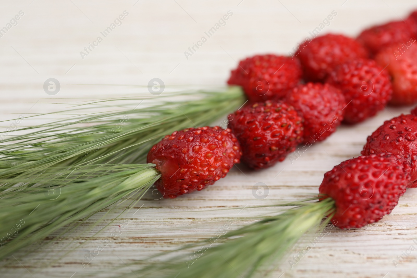 Photo of Grass stems with wild strawberries on white wooden table, closeup