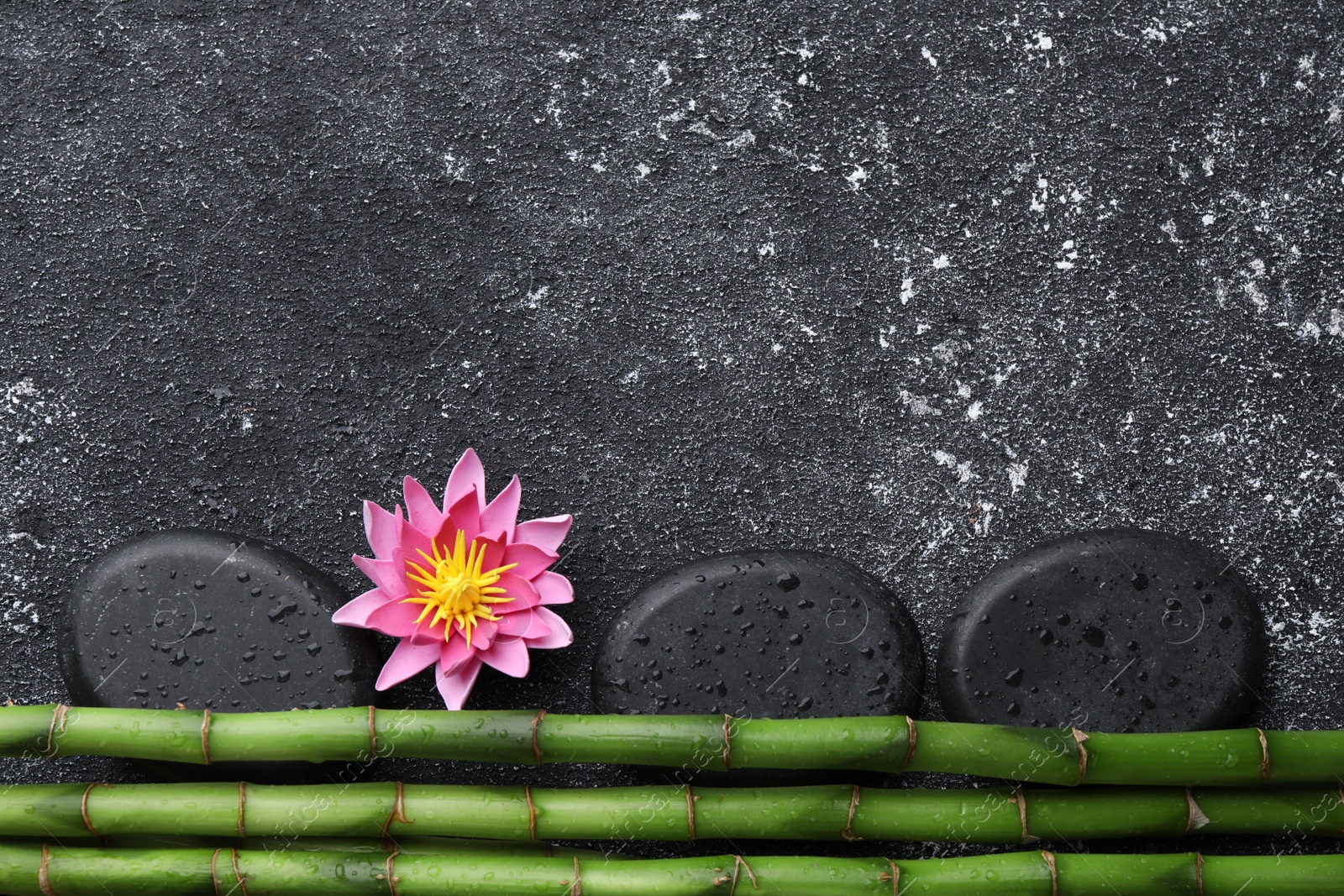 Photo of Wet spa stones, flower and bamboo stems on black textured table, flat lay. Space for text