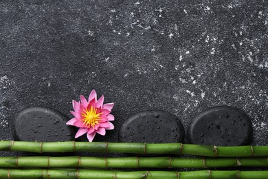 Photo of Wet spa stones, flower and bamboo stems on black textured table, flat lay. Space for text