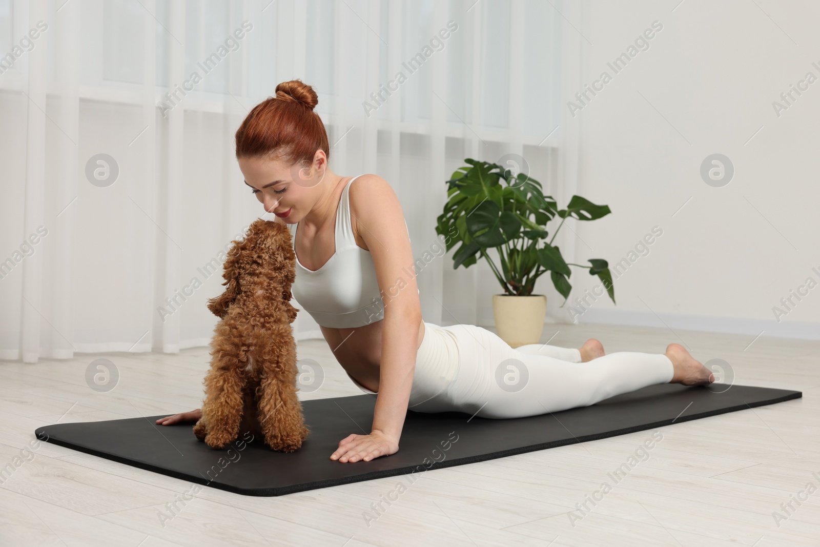 Photo of Young woman practicing yoga on mat with her cute dog indoors