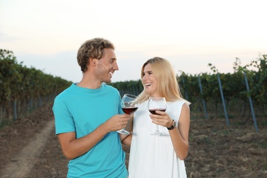 Young romantic couple holding glasses of wine at vineyard