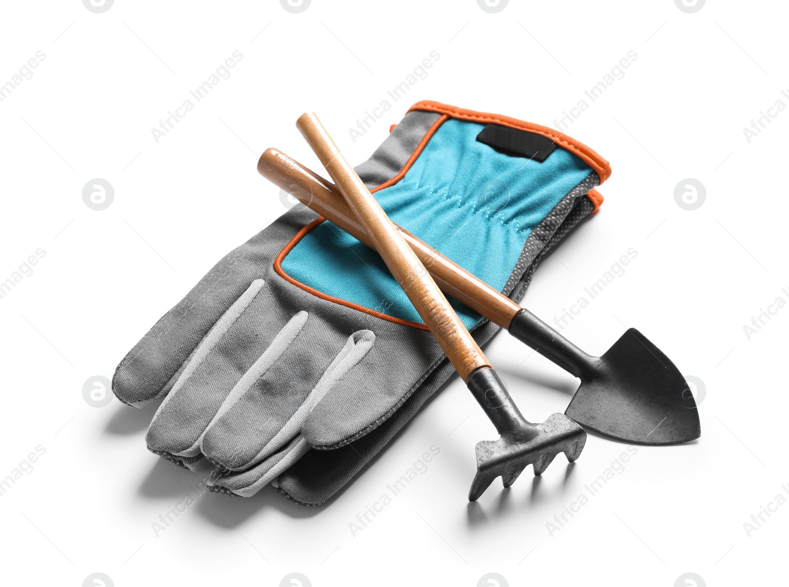 Photo of Set of professional gardening tools on white background