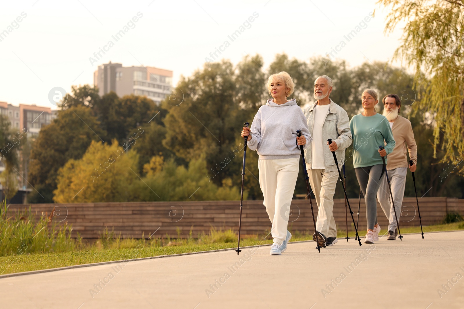 Photo of Group of senior people performing Nordic walking outdoors, space for text. Low angle view