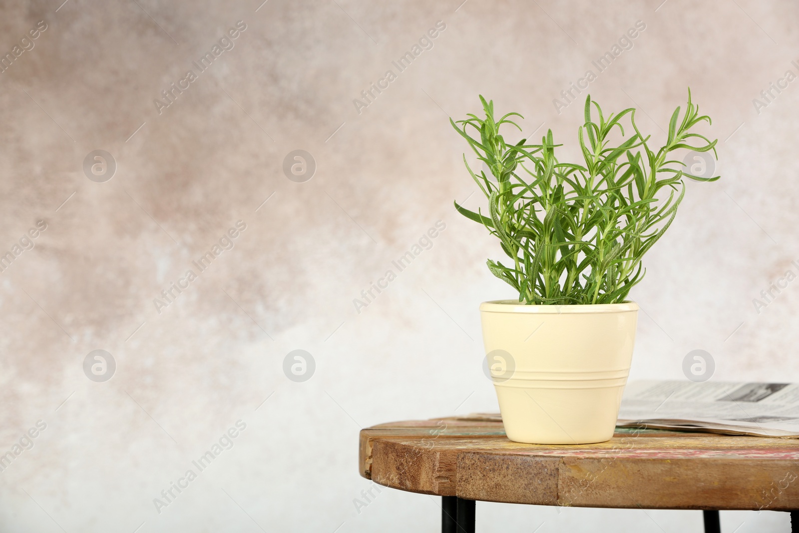 Photo of Pot with fresh rosemary on table against color background