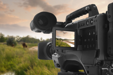 Image of Recording beautiful view of landscape with cows on professional video camera