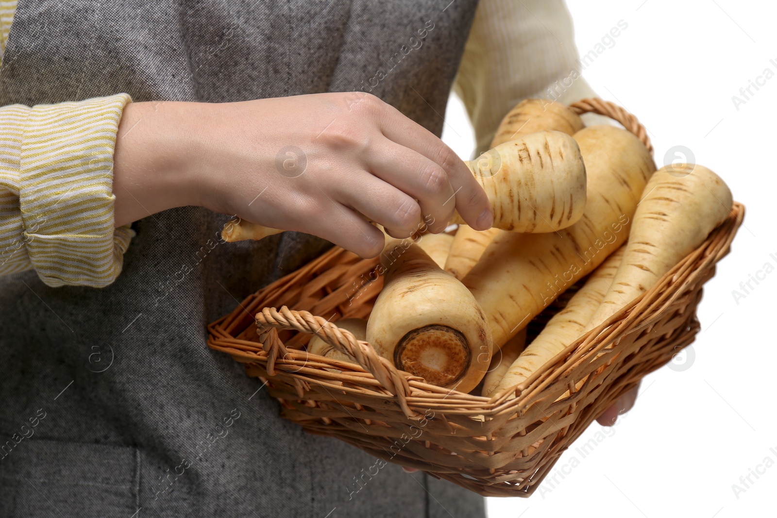 Photo of Woman with fresh ripe parsnips on white background, closeup