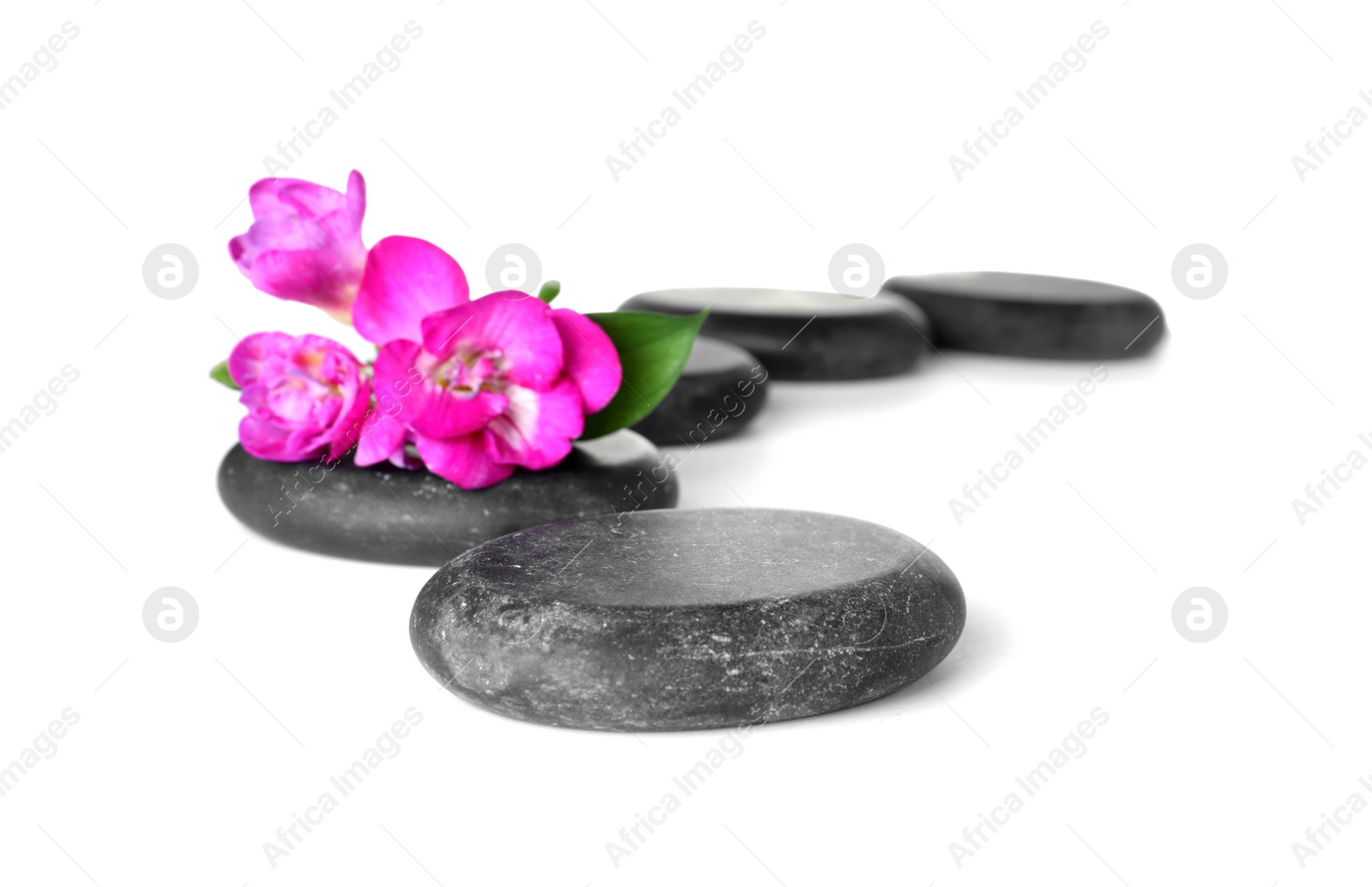 Photo of Spa stones and freesia flowers on white background