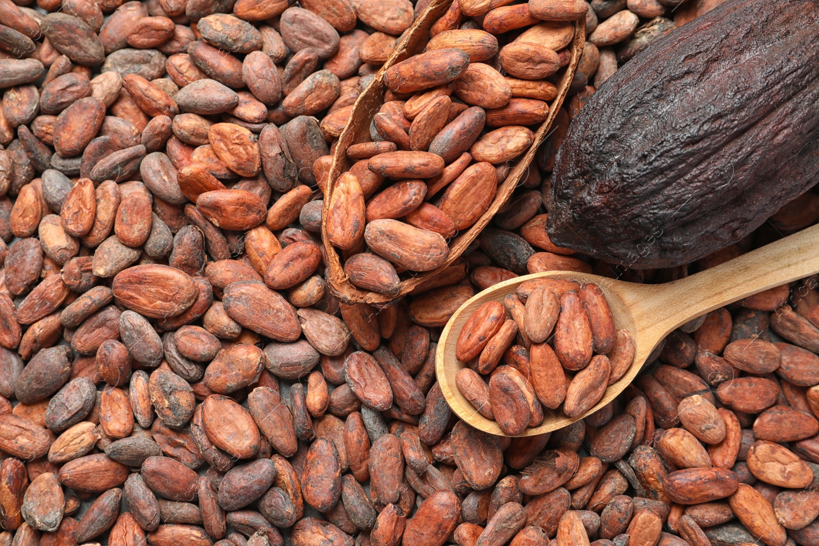 Photo of Wooden spoon and cocoa pods on beans, top view with space for text